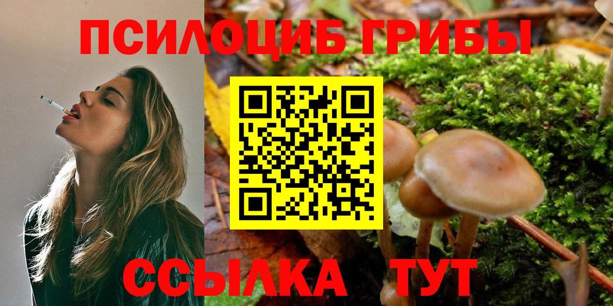 Псилоцибиновые грибы мухоморы  Вход с VPN  Саянск 